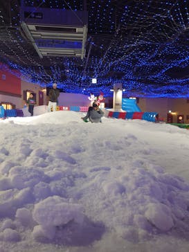 東京あそびマーレに投稿された画像（2025/3/19）