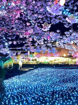 伊豆高原グランイルミに投稿された画像（2025/3/19）