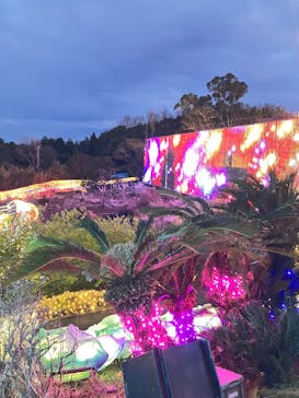 伊豆高原グランイルミに投稿された画像（2025/3/19）