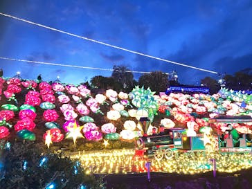 伊豆高原グランイルミに投稿された画像（2025/3/19）