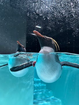 AOAO SAPPOROに投稿された画像（2025/3/19）