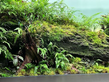 AOAO SAPPOROに投稿された画像（2025/3/19）