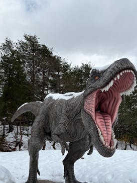 福井県立恐竜博物館に投稿された画像（2025/3/19）