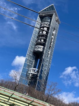 名古屋市東山動植物園に投稿された画像（2025/3/19）