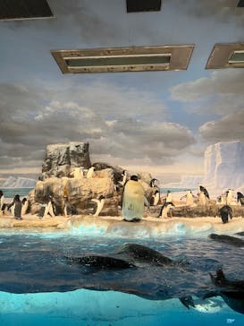 名古屋港水族館に投稿された画像（2025/3/19）