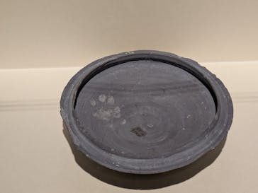 特別展「古代DNA－日本人のきた道」（国立科学博物館）に投稿された画像（2025/3/19）