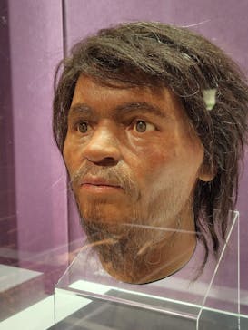 特別展「古代DNA－日本人のきた道」（国立科学博物館）に投稿された画像（2025/3/19）