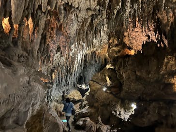 CAVE OKINAWAに投稿された画像（2025/3/19）