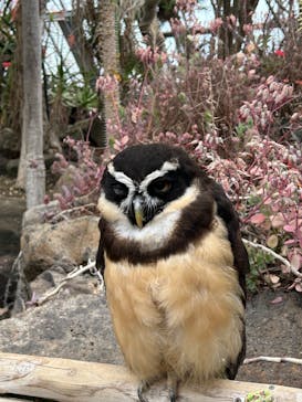 伊豆シャボテン動物公園に投稿された画像（2025/3/19）