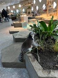 NIFREL（ニフレル）に投稿された画像（2025/3/19）