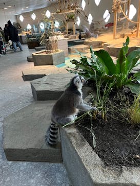 NIFREL（ニフレル）に投稿された画像（2025/3/19）