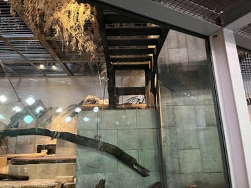 NIFREL（ニフレル）に投稿された画像（2025/3/19）