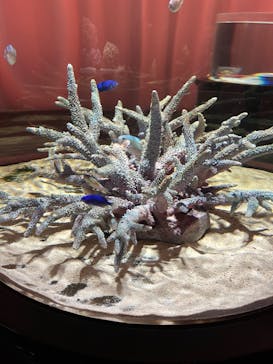 NIFREL（ニフレル）に投稿された画像（2025/3/19）