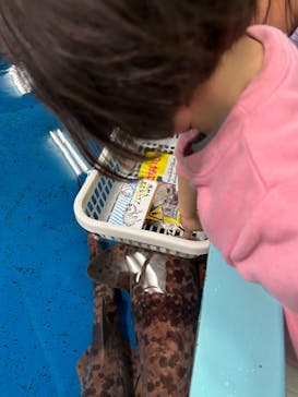 竹島水族館に投稿された画像（2025/3/19）