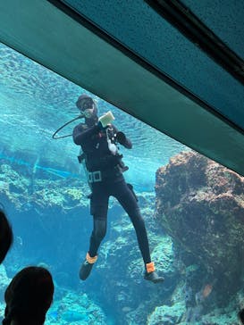沖縄美ら海水族館（館内体験）に投稿された画像（2025/3/19）