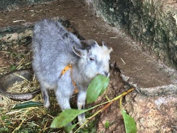 琉球村に投稿された画像（2025/3/19）