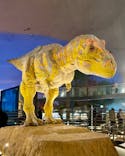福井県立恐竜博物館に投稿された画像（2025/3/19）