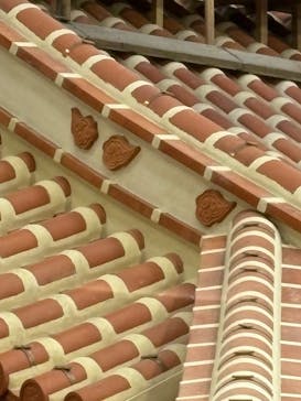 首里城公園 有料区域に投稿された画像（2025/3/19）