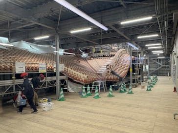 首里城公園 有料区域に投稿された画像（2025/3/19）