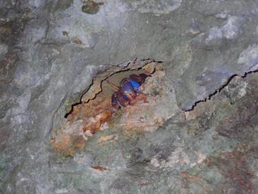 石垣島 ADVENTURE PiPi（イシガキジマアドベンチャーピピ）に投稿された画像（2025/3/19）