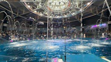 マクセル アクアパーク品川に投稿された画像（2025/3/19）