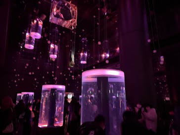 マクセル アクアパーク品川に投稿された画像（2025/3/19）