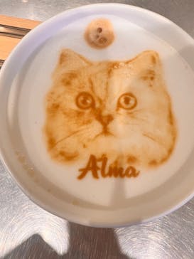 Cat Café MOFF SHIMINT HIROSHIMA店に投稿された画像（2025/3/19）
