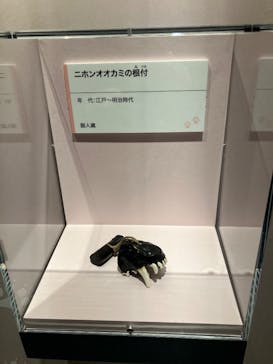 特別展「古代DNA－日本人のきた道」（国立科学博物館）に投稿された画像（2025/3/19）