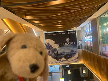 HOKUSAI : ANOTHER STORY in TOKYOに投稿された画像（2025/3/20）
