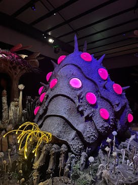 金曜ロードショーとジブリ展　三重展に投稿された画像（2025/3/20）