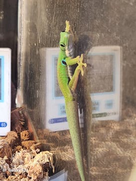 九十九島水族館海きららに投稿された画像（2025/3/20）