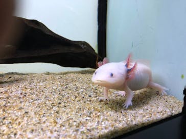 サンシャイン水族館に投稿された画像（2025/3/20）