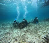 青の洞窟専門店　沖縄ダイビングショップ和に投稿された画像（2025/3/20）