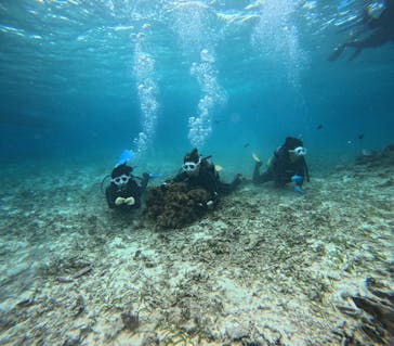 青の洞窟専門店　沖縄ダイビングショップ和に投稿された画像（2025/3/20）