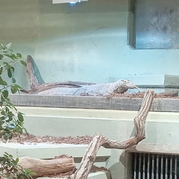 名古屋市東山動植物園に投稿された画像（2025/3/20）