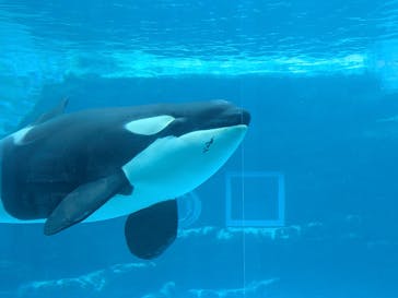 名古屋港水族館に投稿された画像（2025/3/20）
