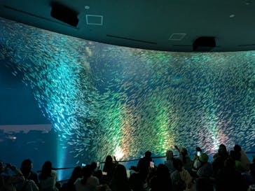 名古屋港水族館に投稿された画像（2025/3/20）