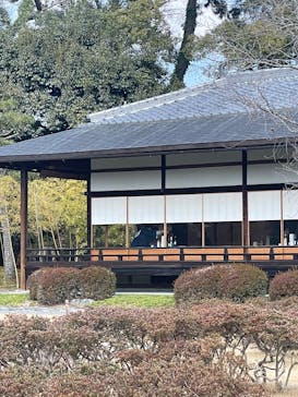 元離宮二条城に投稿された画像（2025/3/20）