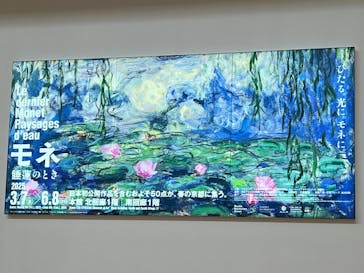 モネ　睡蓮のときに投稿された画像（2025/3/20）
