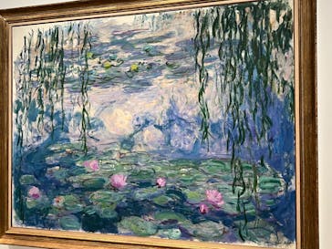 モネ　睡蓮のときに投稿された画像（2025/3/20）