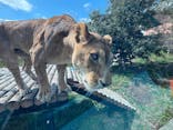 東京動物園協会_多摩動物公園に投稿された画像（2025/3/20）