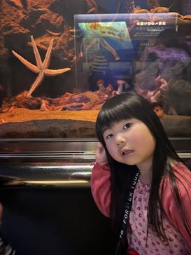 マリンワールド海の中道に投稿された画像（2025/3/20）