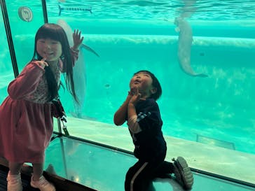 マリンワールド海の中道に投稿された画像（2025/3/20）