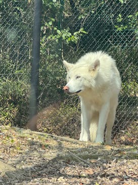 名古屋市東山動植物園に投稿された画像（2025/3/20）