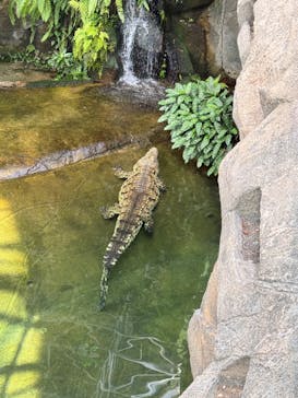 名古屋市東山動植物園に投稿された画像（2025/3/20）