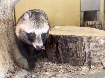 名古屋市東山動植物園に投稿された画像（2025/3/20）