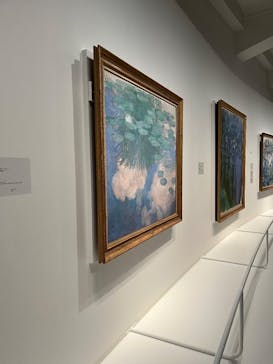 モネ　睡蓮のときに投稿された画像（2025/3/20）