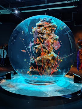 AQUARIUM × ART　atoaに投稿された画像（2025/3/20）