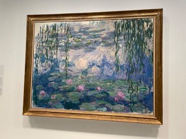 モネ　睡蓮のときに投稿された画像（2025/3/20）