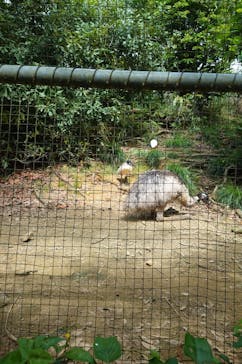 ネオパークオキナワに投稿された画像（2025/3/20）